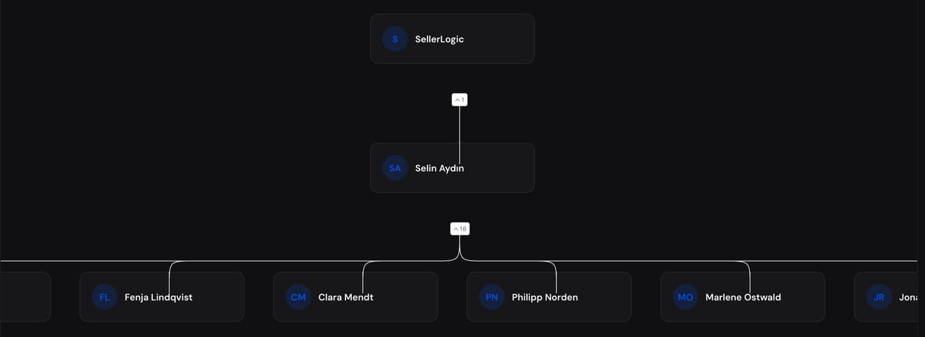 The org chart with the reporting line from the company down to the team